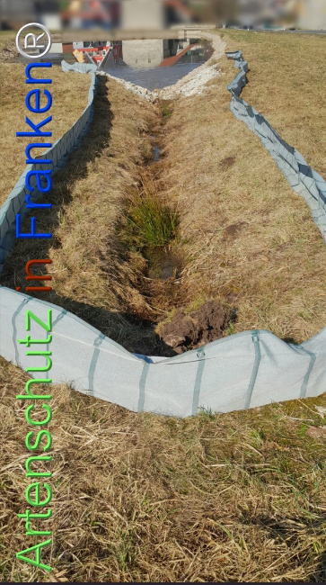 Bild zum Eintrag (1137145-160)