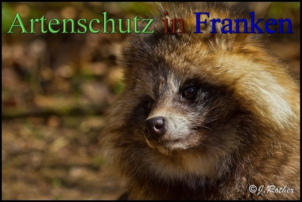 Bild zum Eintrag (1138050-160)