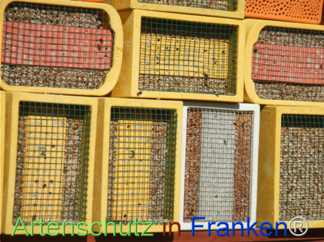 Bild zum Eintrag (1138139-160)