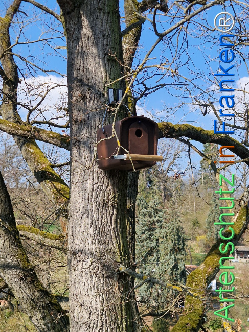 Bild zum Eintrag (1138251-160)