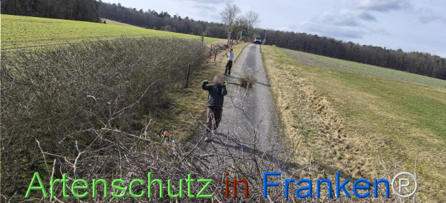 Bild zum Eintrag (1139093-160)