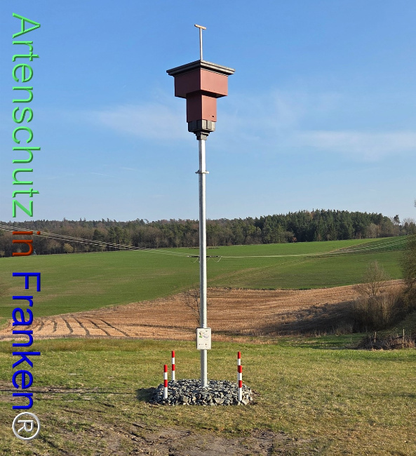 Bild zum Eintrag (1139294-160)