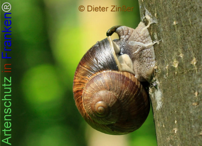Bild zum Eintrag (1139609-160)