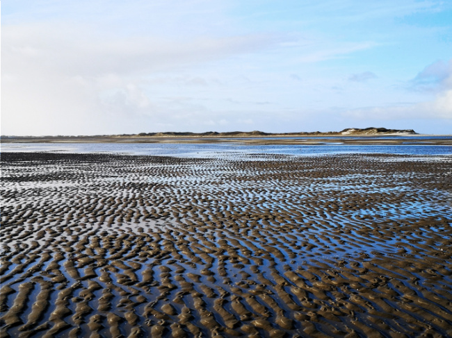 Bild zum Eintrag (1139735-160)