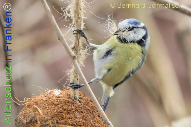 Bild zum Eintrag (1139851-160)