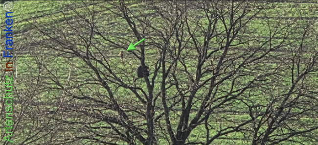 Bild zum Eintrag (1139862-160)