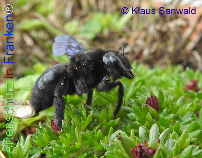 Bild zum Eintrag (1139871-160)