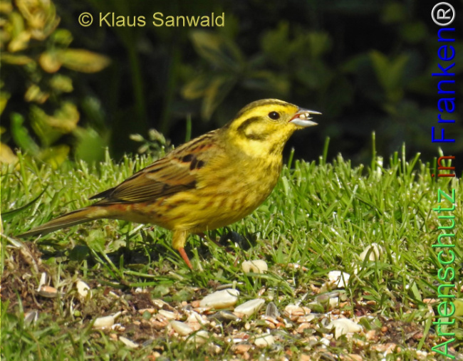 Bild zum Eintrag (1140041-160)