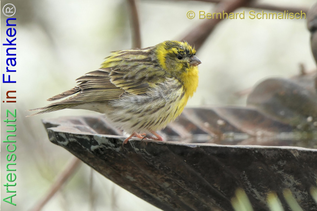 Bild zum Eintrag (1140416-160)