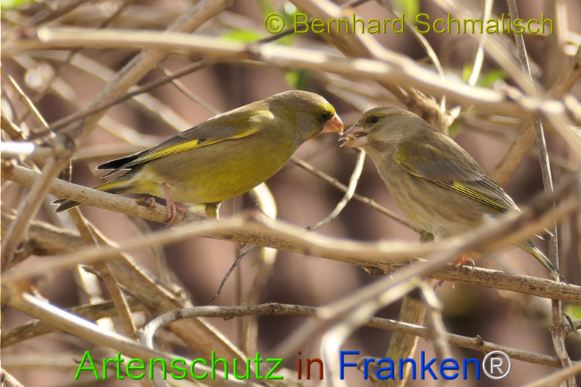 Bild zum Eintrag (1140418-160)