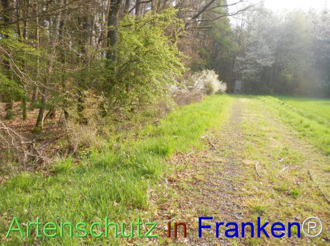 Bild zum Eintrag (1140444-160)