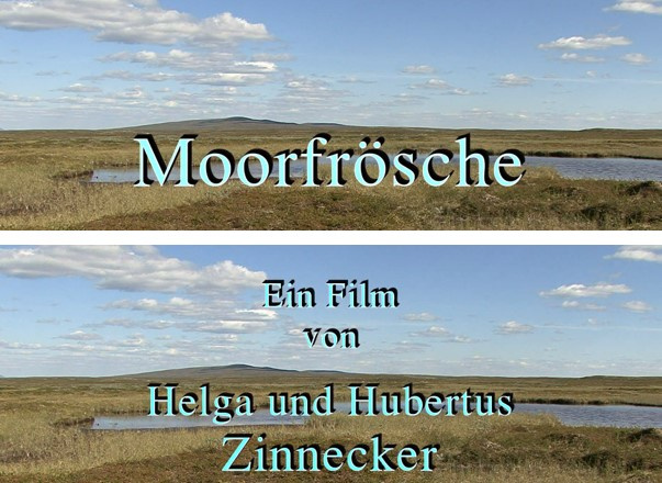 Bild zum Eintrag (1140446-160)