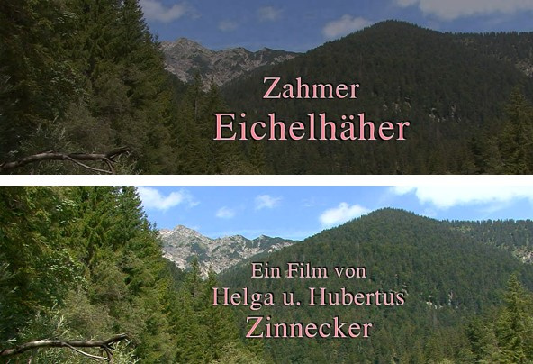 Bild zum Eintrag (1140513-160)