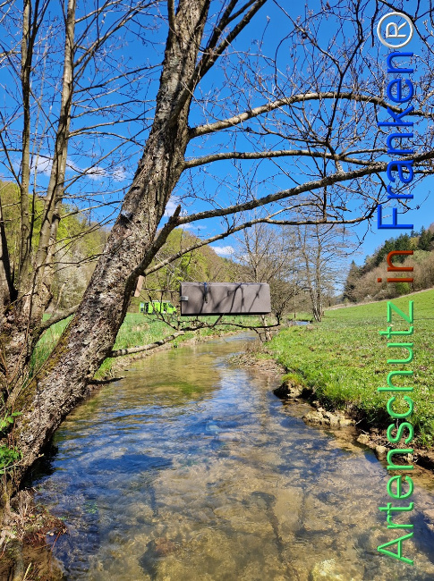 Bild zum Eintrag (1140571-160)