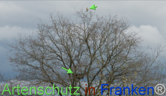 Bild zum Eintrag (1140622-160)