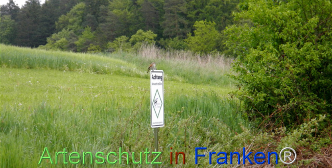 Bild zum Eintrag (1141365-160)