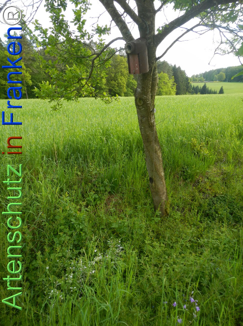 Bild zum Eintrag (1141393-160)