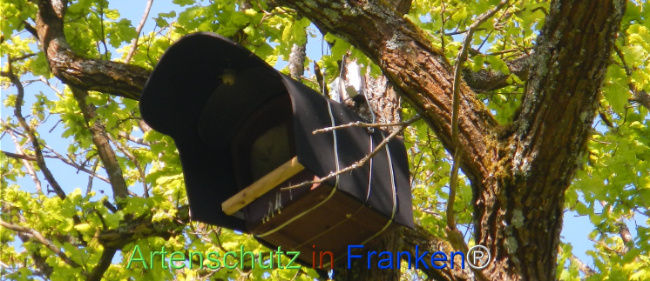 Bild zum Eintrag (1141492-160)
