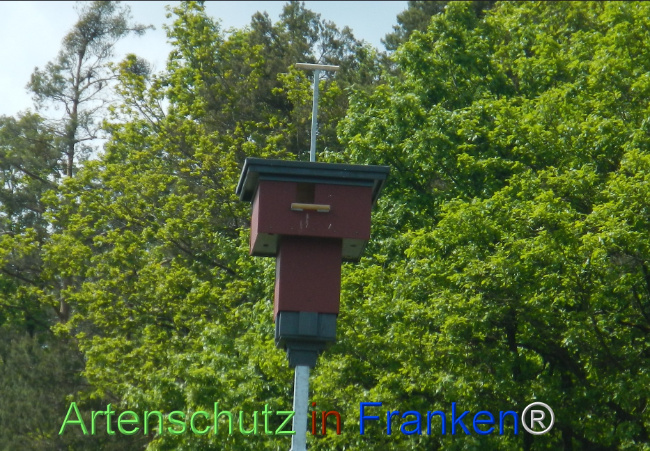 Bild zum Eintrag (1141716-160)