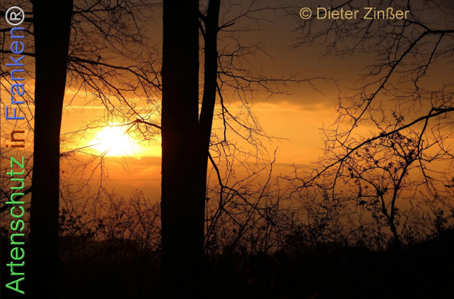 Bild zum Eintrag (1141734-160)