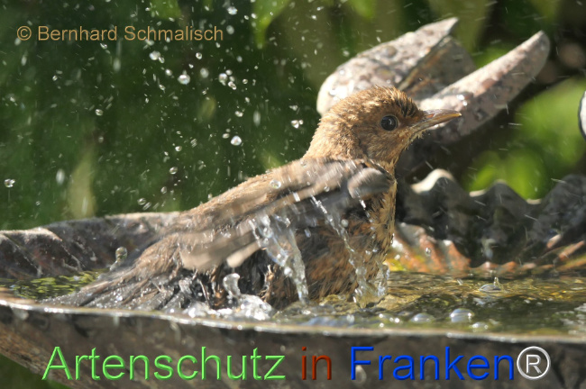 Bild zum Eintrag (1141834-160)