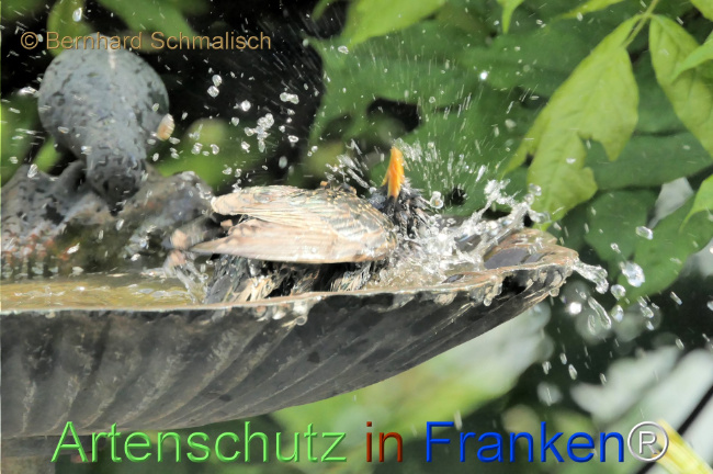 Bild zum Eintrag (1141842-160)