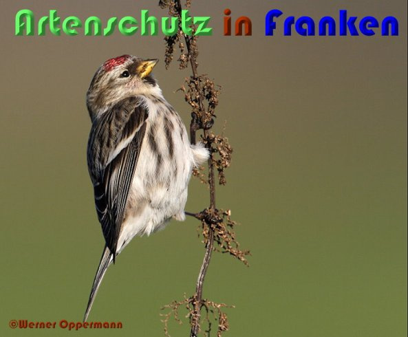 Bild zum Eintrag (1142143-160)