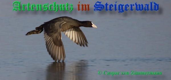 Bild zum Eintrag (1142166-160)