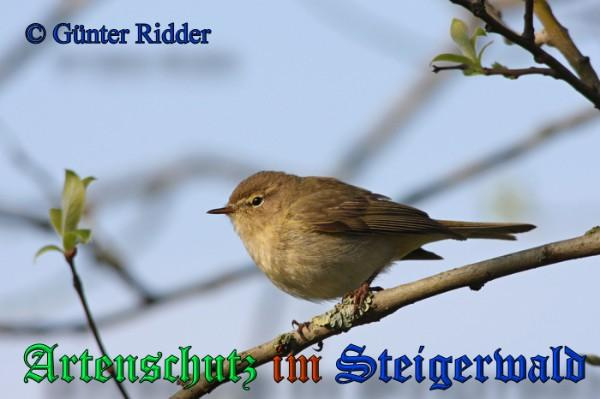 Bild zum Eintrag (1142867-160)