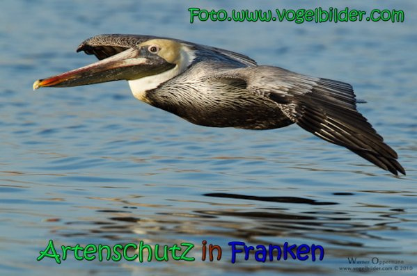 Bild zum Eintrag (1142873-160)