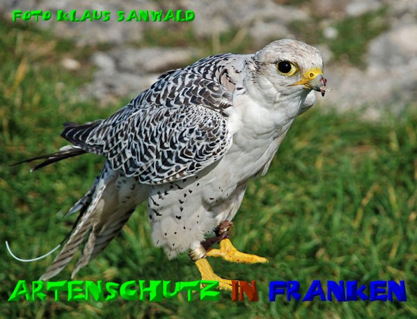 Bild zum Eintrag (1143634-160)