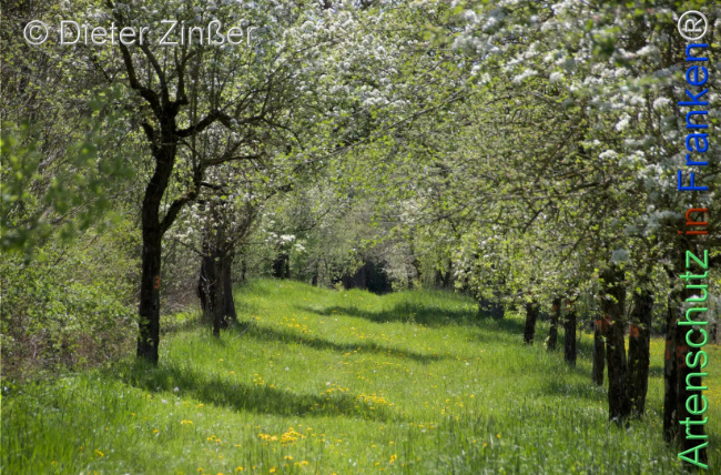 Bild zum Eintrag (1143799-160)