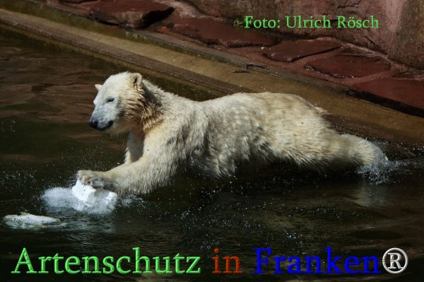 Bild zum Eintrag (1143910-160)