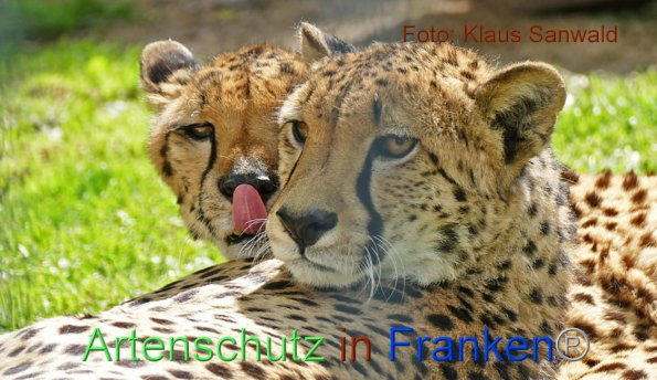 Bild zum Eintrag (1144230-160)