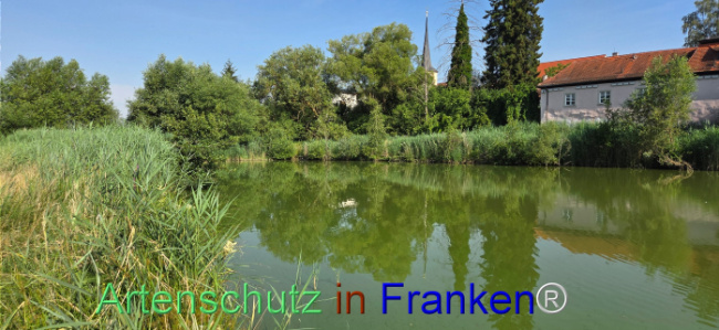 Bild zum Eintrag (1144318-160)