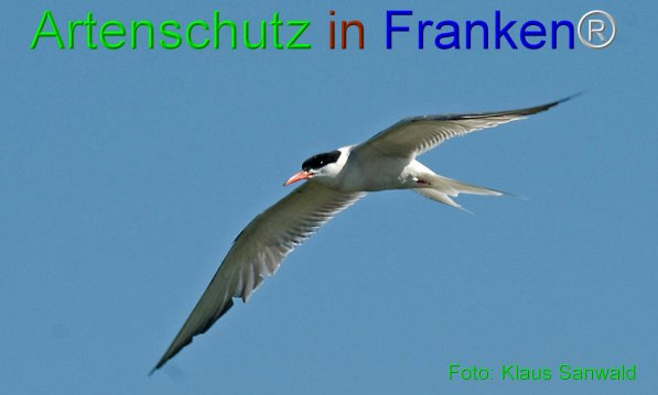 Bild zum Eintrag (1144511-160)