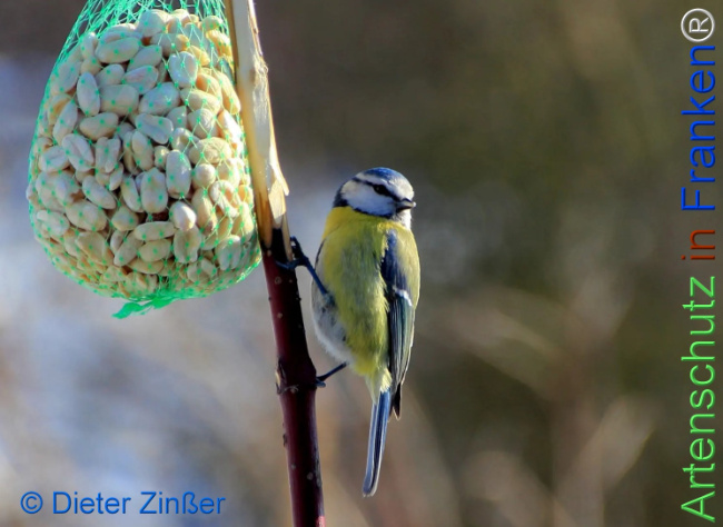 Bild zum Eintrag (1144607-160)