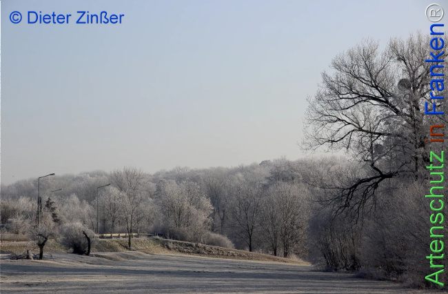 Bild zum Eintrag (1145081-160)