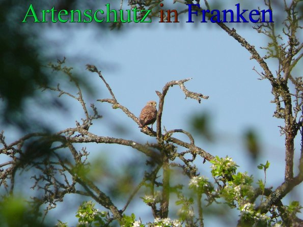 Bild zum Eintrag (1145672-160)