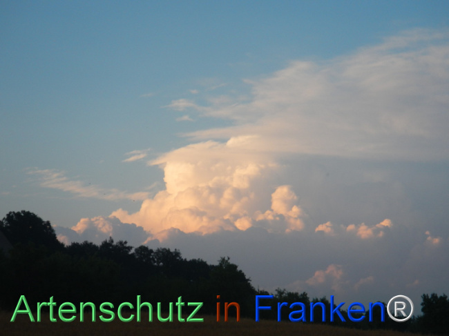 Bild zum Eintrag (1146362-160)