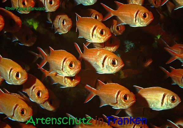 Bild zum Eintrag (1146416-160)