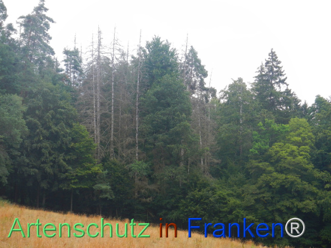 Bild zum Eintrag (1146426-160)