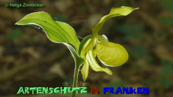 Bild zum Eintrag (1146486-160)