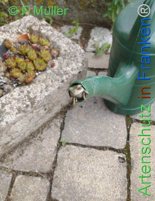 Bild zum Eintrag (1146529-160)