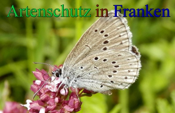 Bild zum Eintrag (1146628-160)