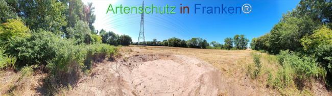 Bild zum Eintrag (1146921-160)