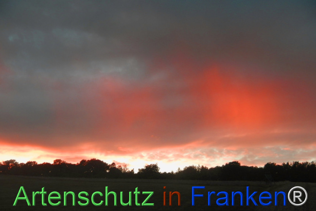 Bild zum Eintrag (1146982-160)