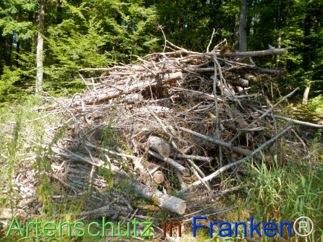 Bild zum Eintrag (1147107-160)