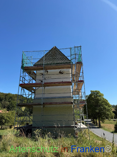 Bild zum Eintrag (1147537-160)