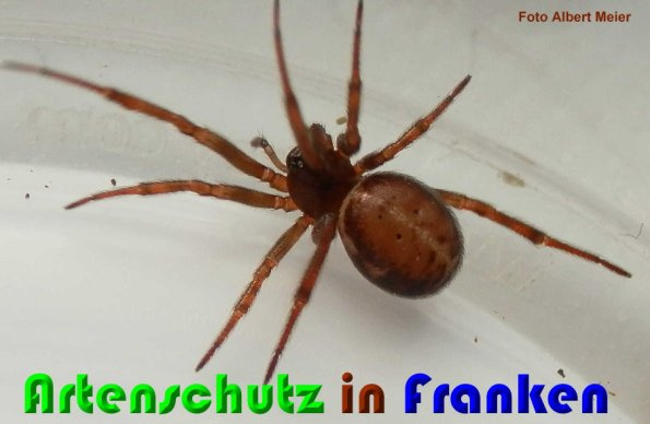 Bild zum Eintrag (1147570-160)
